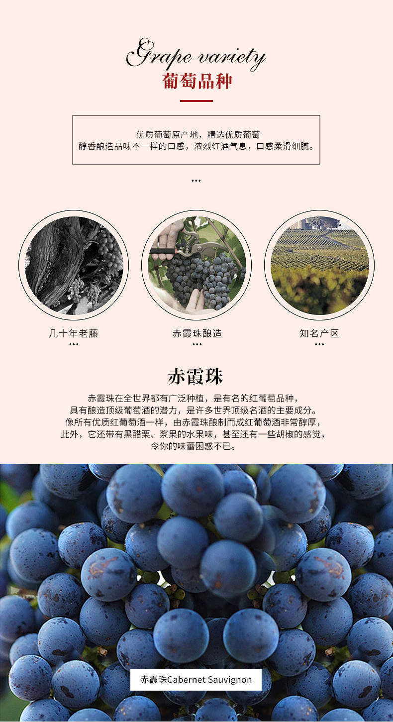 小黄鸭下载多莉详情页_02.jpg