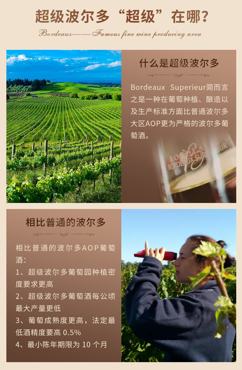 小黄鸭下载吉娜详情页_02.jpg