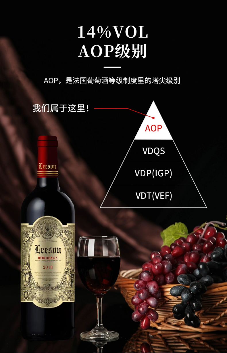 小黄鸭下载·汉妮切片_04.jpg