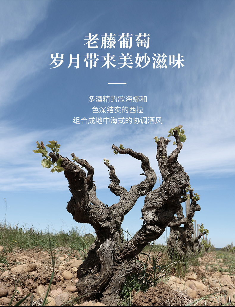 小黄鸭下载·汉妮切片_09.jpg