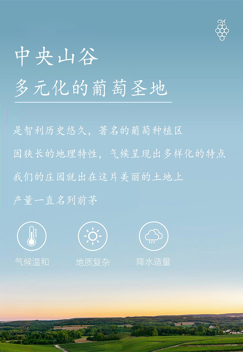 小黄鸭下载·老藤切片_09.jpg
