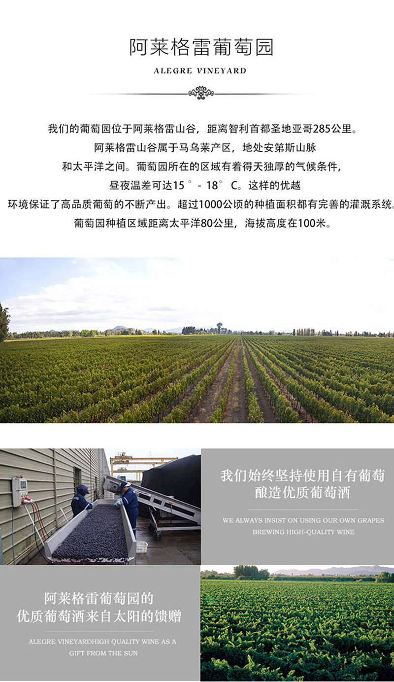 小黄鸭下载·老藤切片_10.jpg