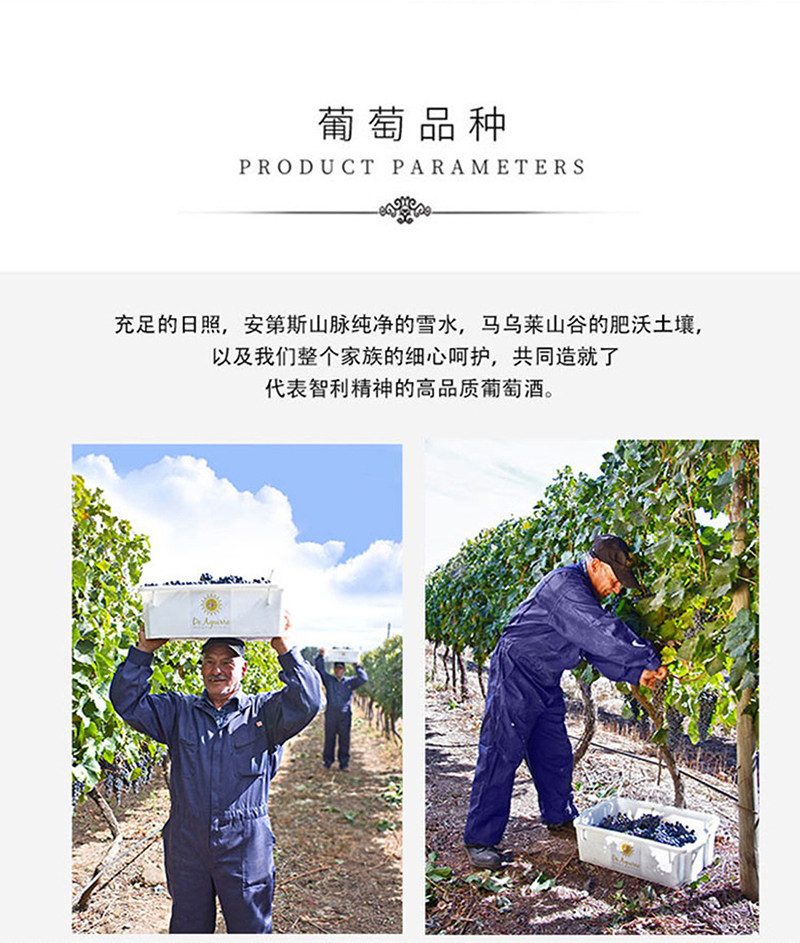 小黄鸭下载·老藤切片_11.jpg