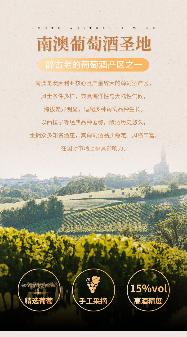 小黄鸭下载·山谷老藤切片_05.jpg