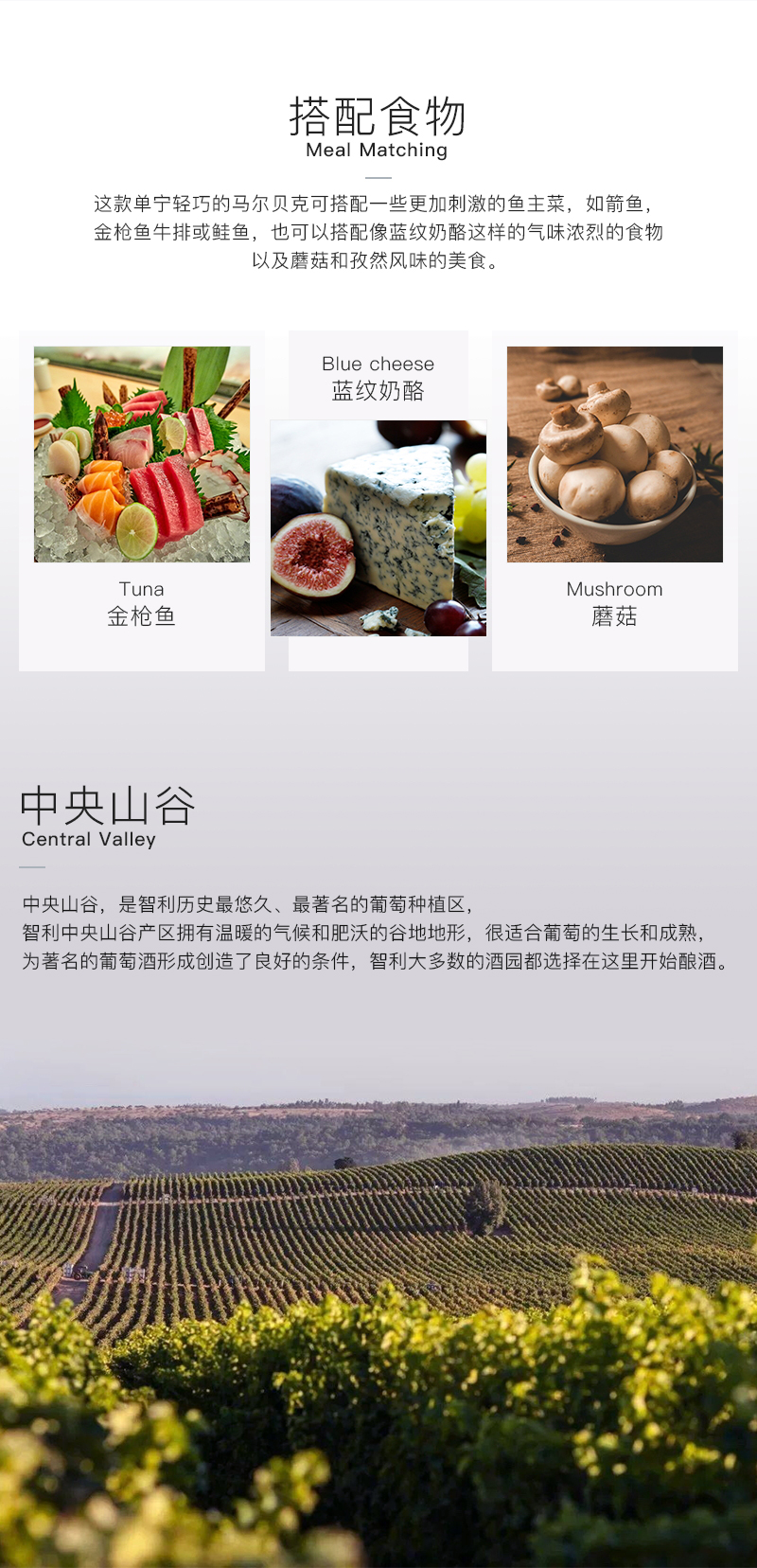 小黄鸭下载616智利珍藏马尔贝克干红葡萄酒(图3)