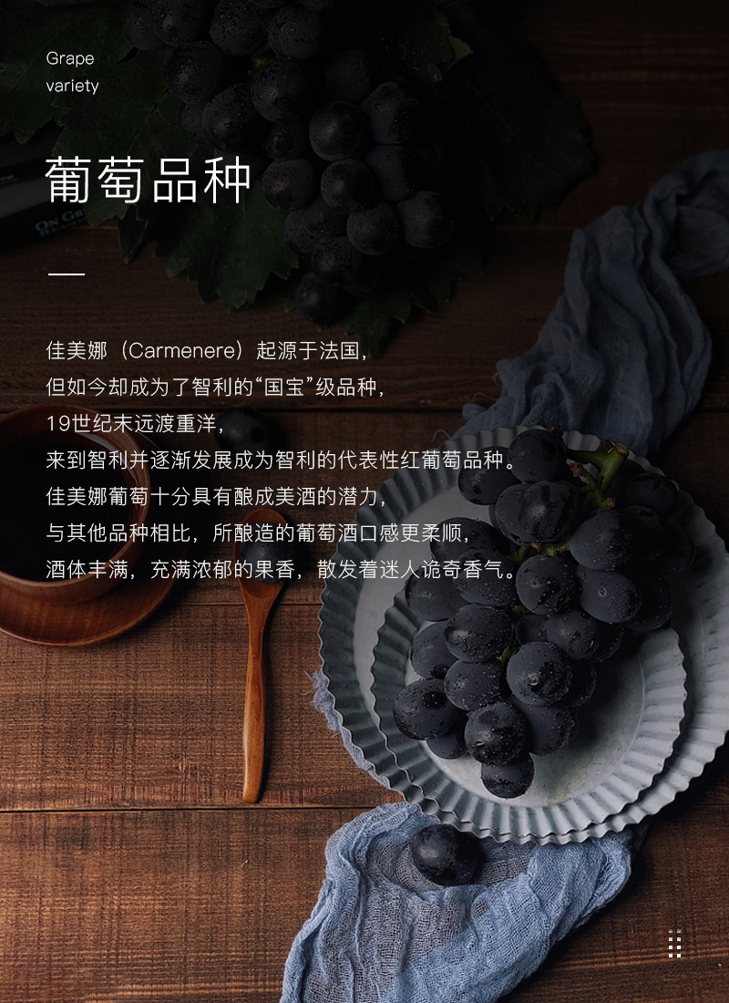 小黄鸭下载红酒419智利佳美娜干红葡萄酒(图4)