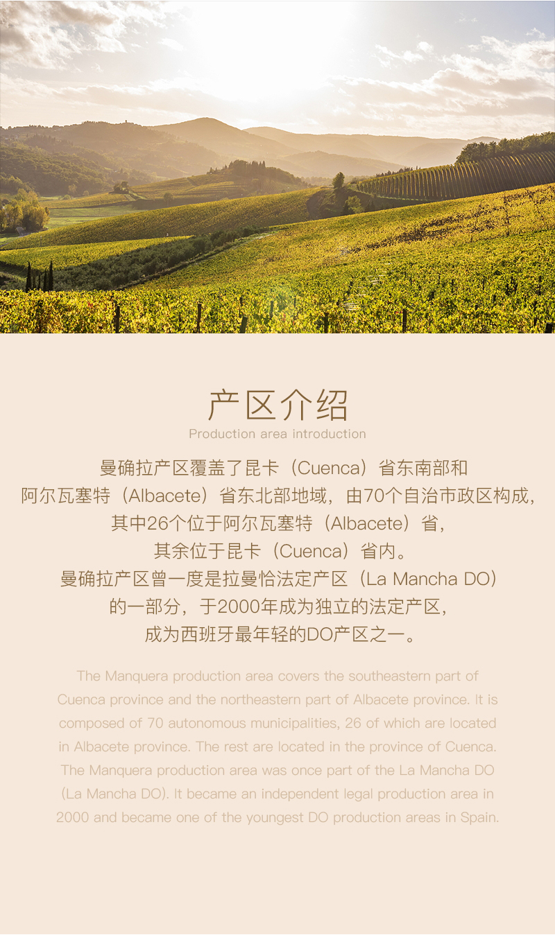 小黄鸭下载红酒577西班牙(图2)